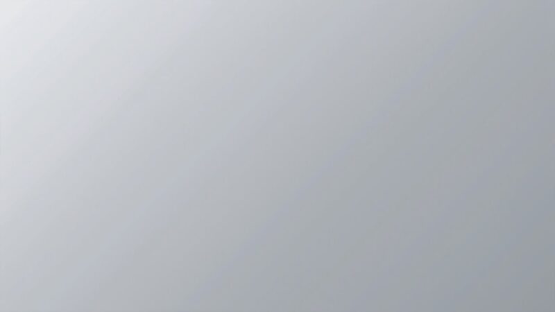 Dzierżawa iPhone’a – Najlepsze Opcje Teraz